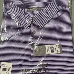 Ashworth Men's Polo in Purple and White Stripes